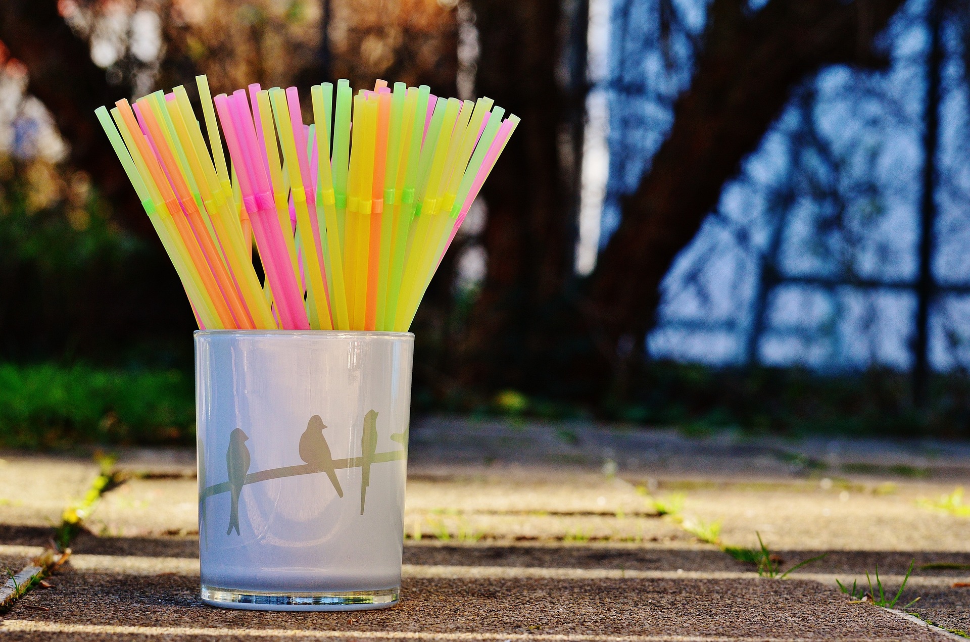 European Parliament votes to back ban on single-use plastics